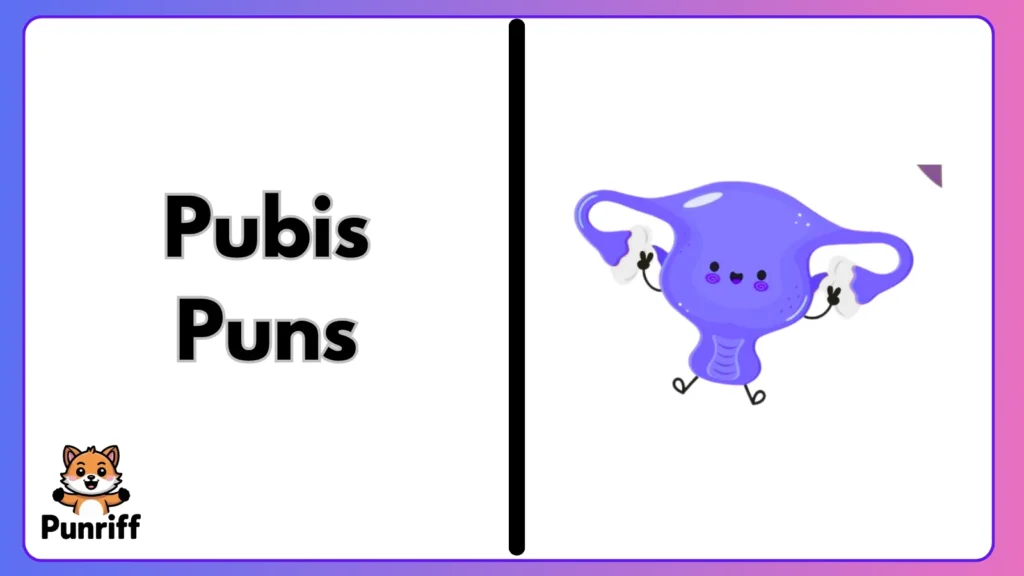Pubis Puns