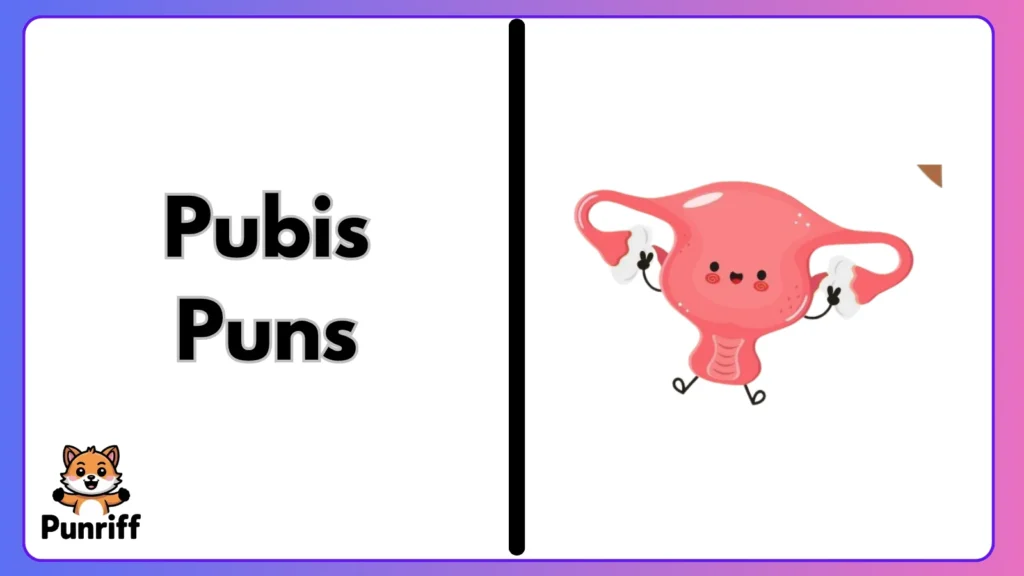 Pubis Puns