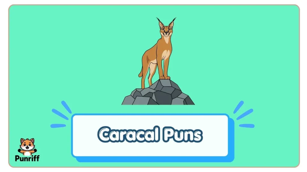 Caracal Puns