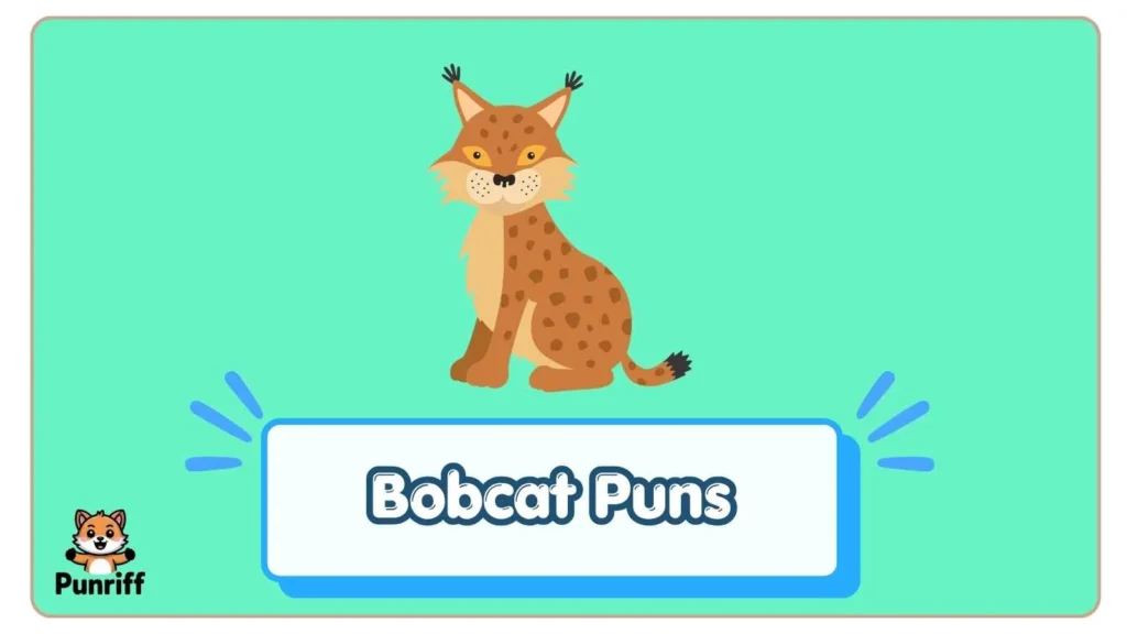 Bobcat Puns