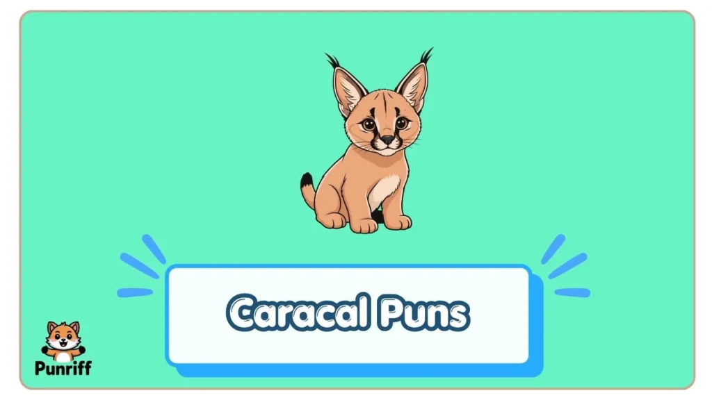 Caracal Puns