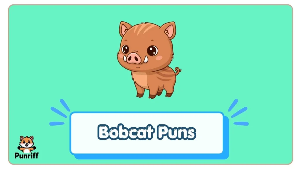 Bobcat Puns