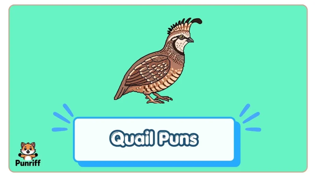 Quail Puns