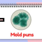 Mold puns