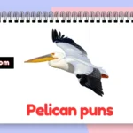 Pelican puns