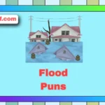 Flood Puns
