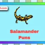 Salamander Puns