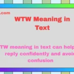 WTW Meaning in Text
