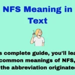 NFS Meaning in Text