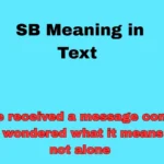 SB Meaning in Text