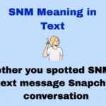 SNM Meaning in Text